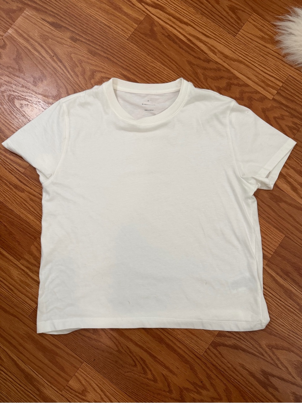 Everlane White Short-Sleeve Crewneck Tee